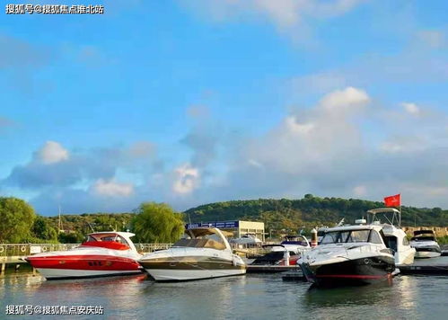 蘇州金庭復園 全景瞰湖美宅，致獻詩意棲居